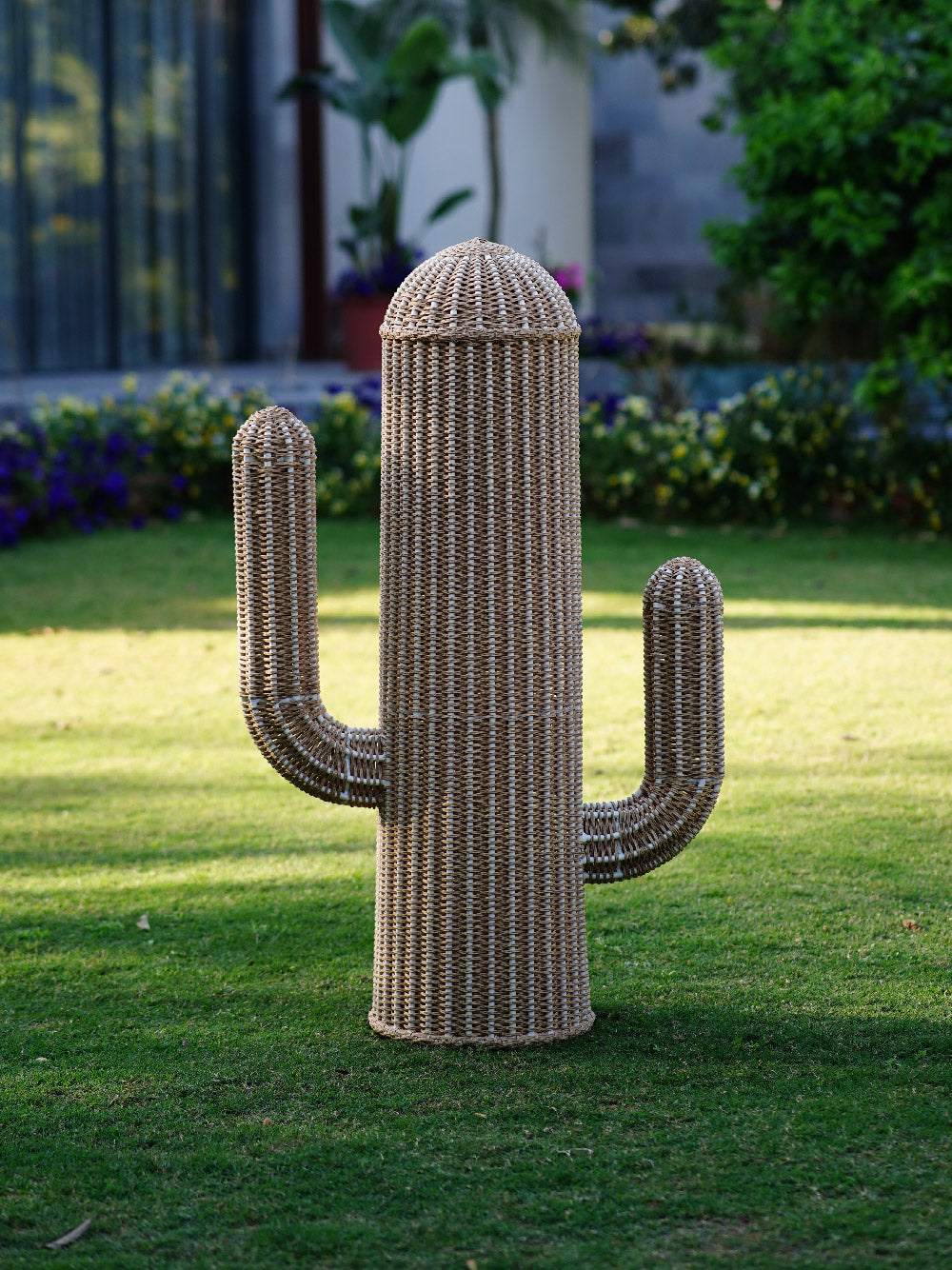 Mature Saguaro Lamp