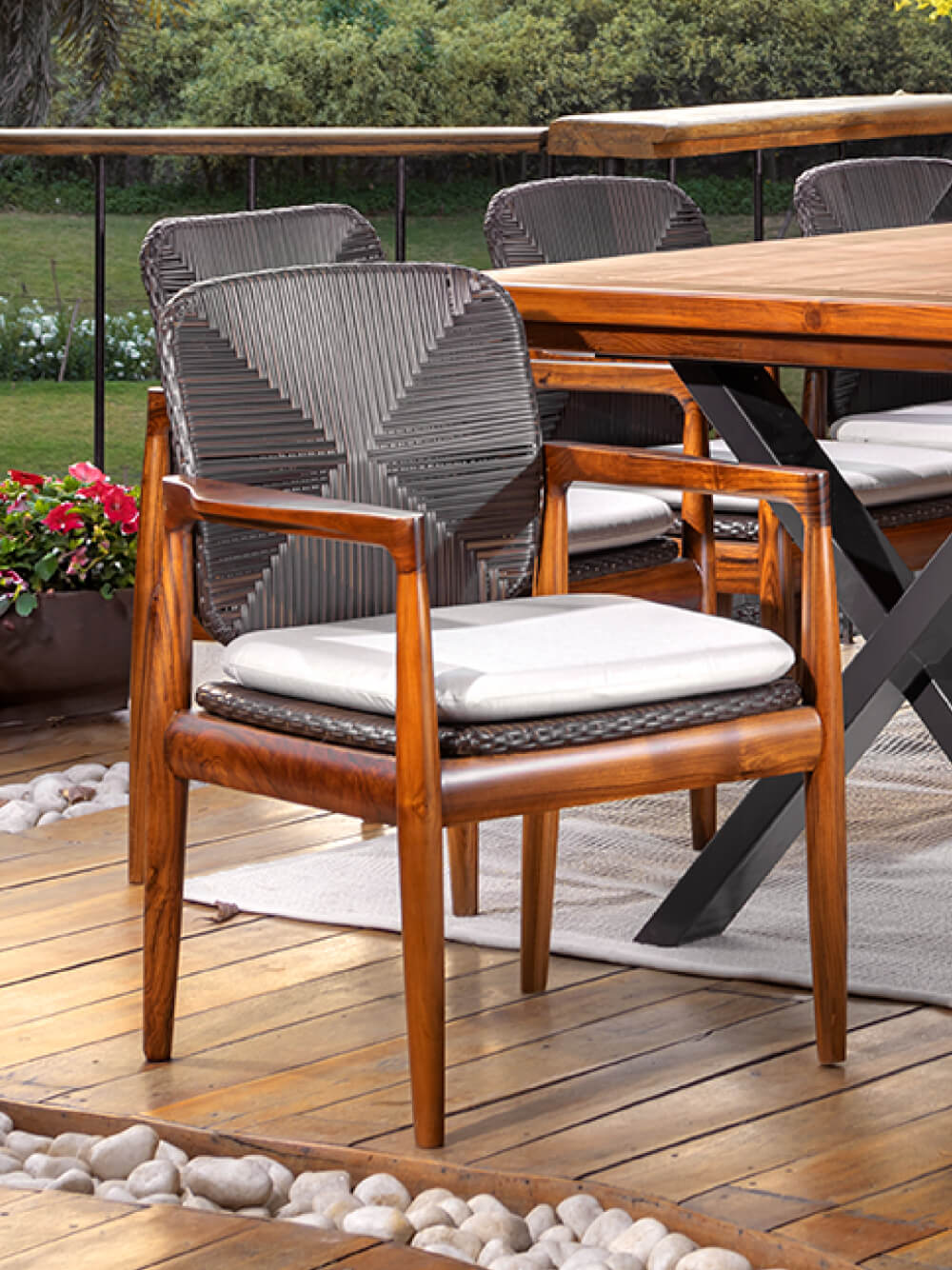 Dining Chairs