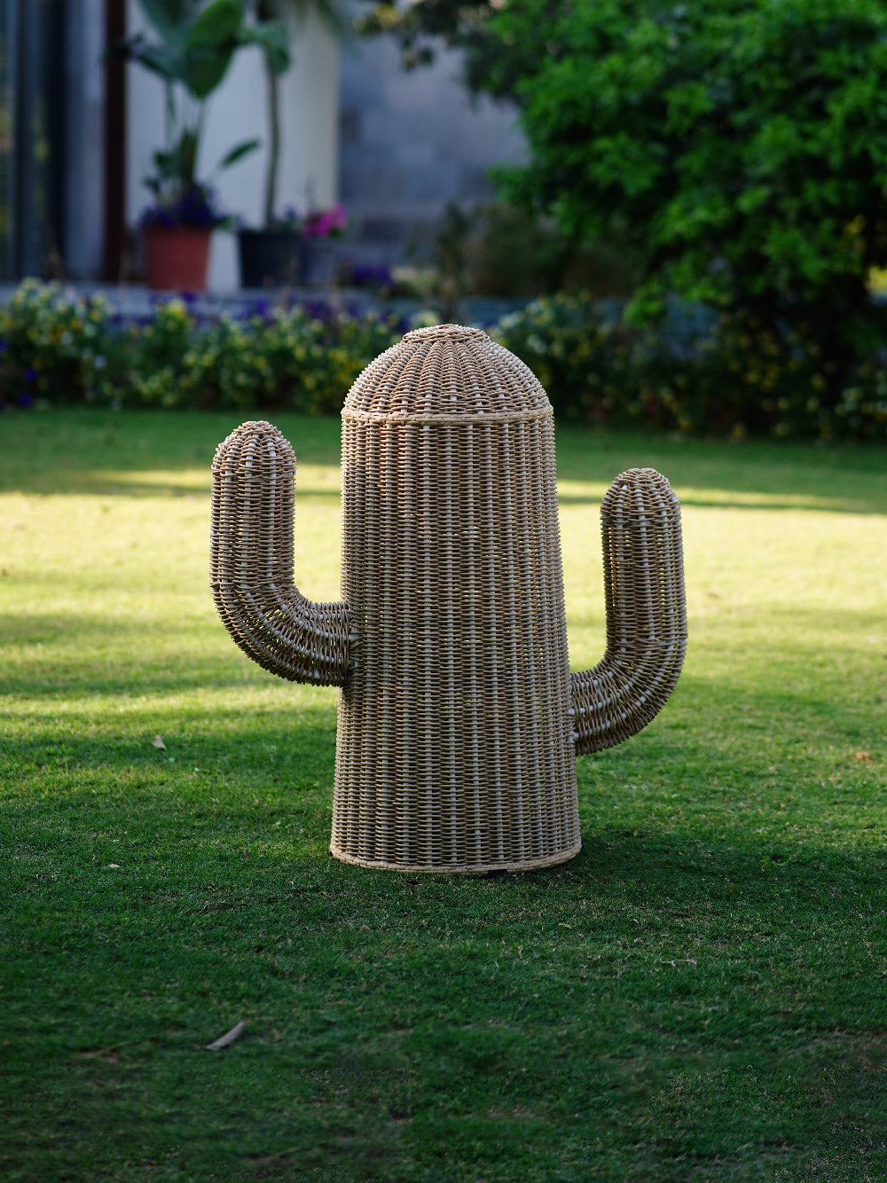 Sleek Saguaro Lamp