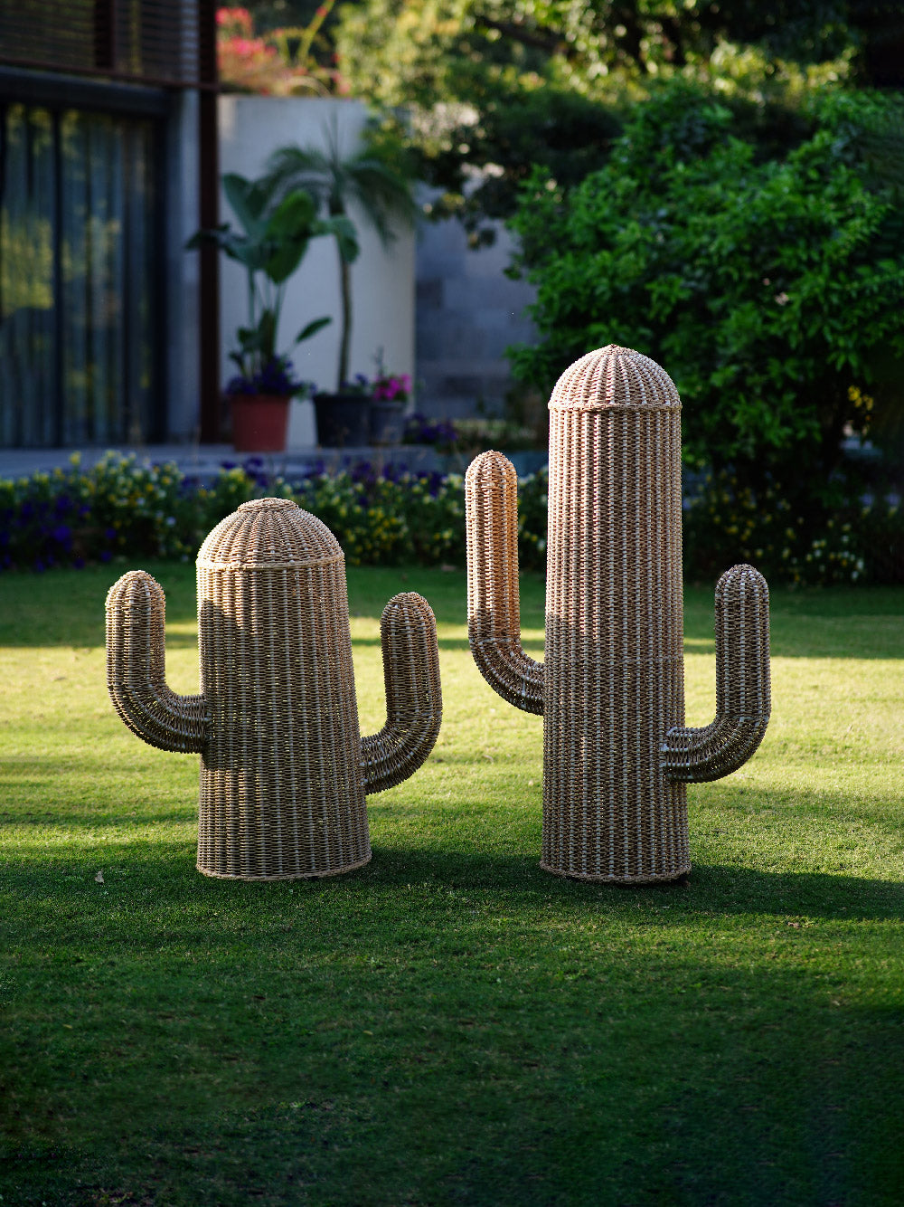 Mature Saguaro Lamp – The Garden Room